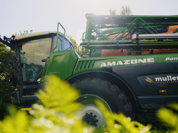 Header Amazone Pantera